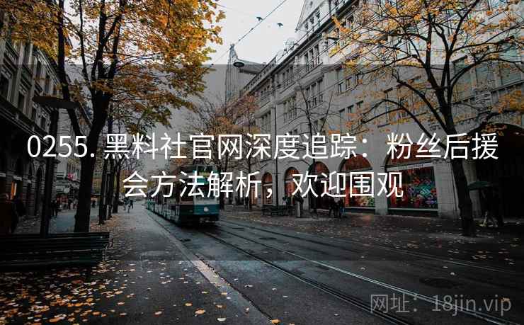 0255. 黑料社官网深度追踪：粉丝后援会方法解析，欢迎围观