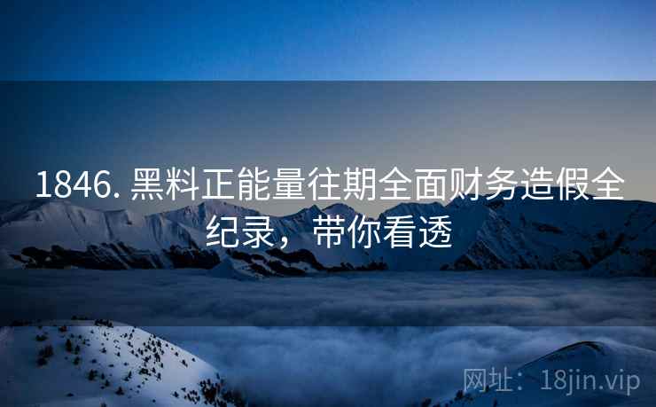 1846. 黑料正能量往期全面财务造假全纪录，带你看透